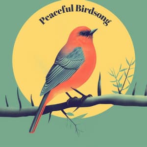 Peaceful Birdsong - Calming Bird Sounds