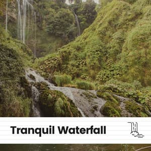 Tranquil Waterfall - Waterfalls