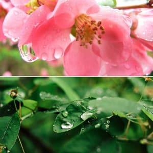 Music for Calming Fridays - Musica da Lavoro