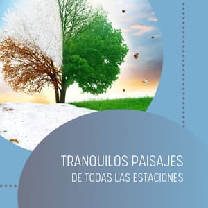 Tranquilos Paisajes de Todas las Estaciones - Chill Relajente
