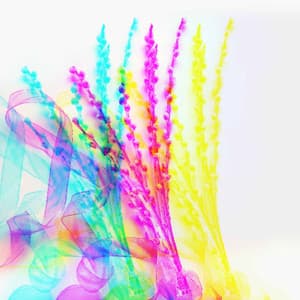 Music for Reclining Rains - Working from Home