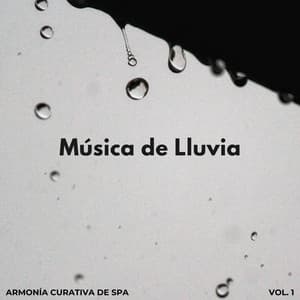 Música De Lluvia: Armonía Curativa De Spa Vol. 1 - La Fábrica de Lluvia