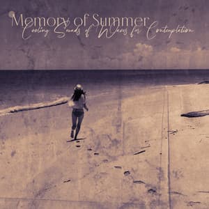 Memory of Summer: Cooling Sounds of Waves for Contemplation - Relaxation Ocean Waves Academy