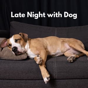 Late Night with Dog - Restaurante Jazz