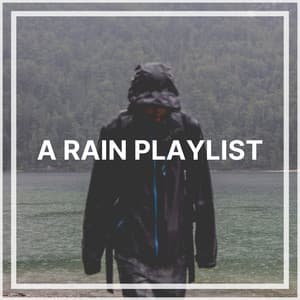 A Rain Playlist - Nature & Rainforest Sounds Collective