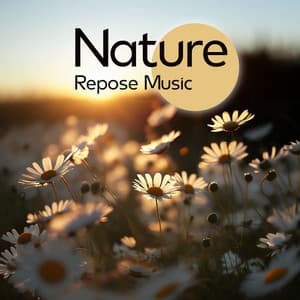 Nature Repose Music: Soothing Nature Ambience - Serenity Nature Sounds Academy