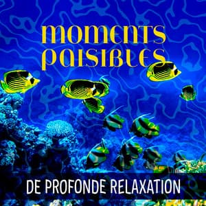 Moments paisibles de profonde relaxation - Musique pour Détendre en Temps Libre