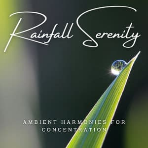Rainfall Serenity: Ambient Harmonies for Concentration - Precip
