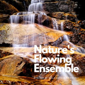 Nature's Flowing Ensemble: Stream of Relaxation Harmony - Ultimate Waterflow