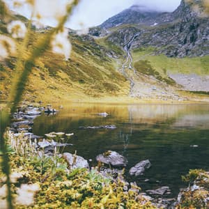 Zen Sleep Music - Uyku Müzik