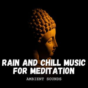 Ambient Sounds: Rain and Chill Music for Meditation - Relaxation Rain Meditation