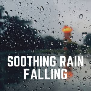 Soothing Rain Falling - Day & Night Rain