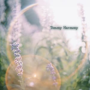 A Soft Place in the Sun - Tommy Harmony