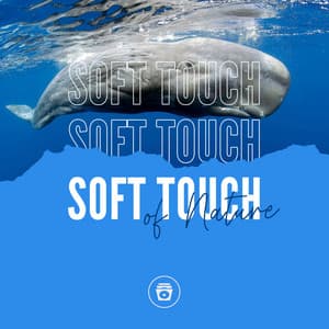 Soft Touch Of Nature - Sounds Of The Sea