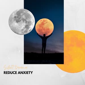 Reduce Anxiety - Divine Healing - Silent Dreamer