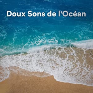 Doux Sons de l'océan - Vagues De L'Ocean