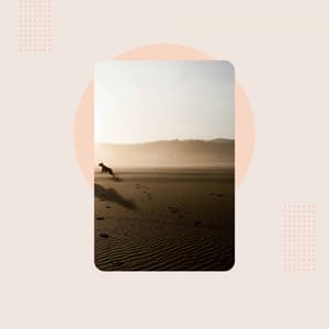 Echoes of Rejuvenating Seasons - Jazz Romance