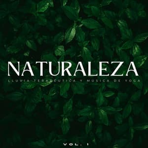Naturaleza: Lluvia Terapéutica Y Música De Yoga Vol. 1 - Sonidos de lluvia y sonidos de la naturaleza