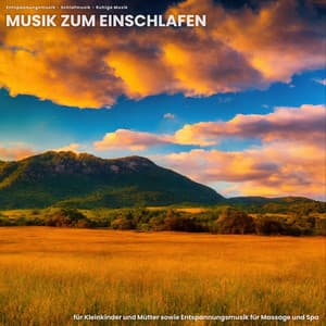 Musik zum Einschlafen für Kleinkinder und Mütter sowie Entspannungsmusik für Massage und Spa - Entspannungsmusik