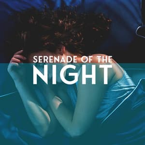 Serenade of the Night – Calm Jazz Music Collection 2021 - Chill After Dark