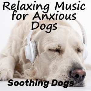 Relaxing Music For Anxious Dogs - Soothing Dogs