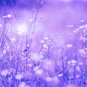 Pulsating Music for Light Thoughts - Bossa Guitar Trio - Morning Chill Playlist