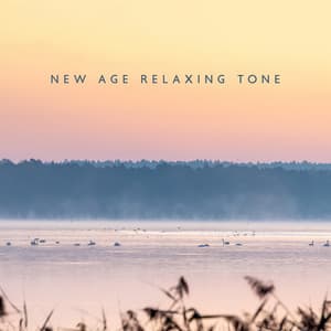 New Age Relaxing Tone: Wonderful Tones, Fauna Sounds, Calmly Water - Relaxing Nature Sounds Collection