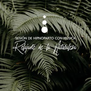 Sesión de Hipnoparto con Música Relajante de la Naturaleza: Meditación Durante el Embarazo, Meditación Guiada por Hipnoparto, Meditación de Afirmaciones - Hypnobirthing Oasis