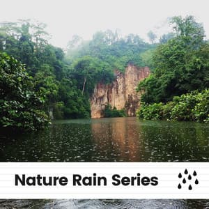Nature Rain Series - Factorial FX