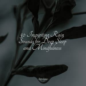 50 Inspiriting Rain Sounds for Deep Sleep and Mindfulness - Yoga Namaste