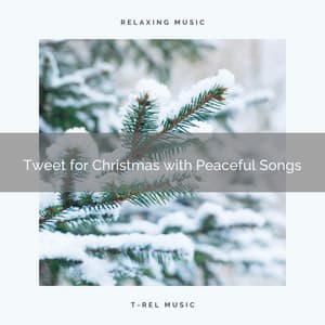 Tweet for Christmas with Peaceful Songs - Sounds of Nature Relaxation