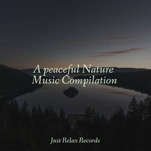 A peaceful Nature Music Compilation - Schlaflieder Für Kinder