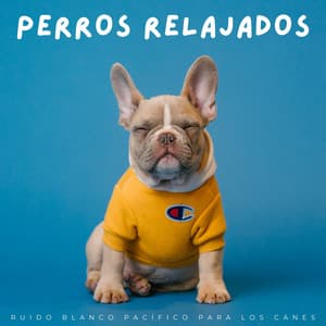 Perros Relajados: Ruido Blanco Pacífico Para Los Canes - Ruido Blanco 2015