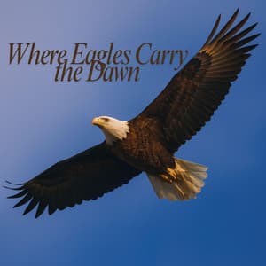 Where Eagles Carry the Dawn - Native American Music Consort
