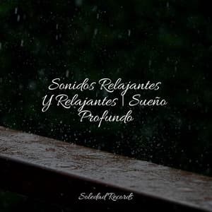 Sonidos Relajantes Y Relajantes | Sueño Profundo - Relajante Academia de Música Zen