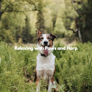 Relaxing with Paws and Harp - Jazz for Dogs