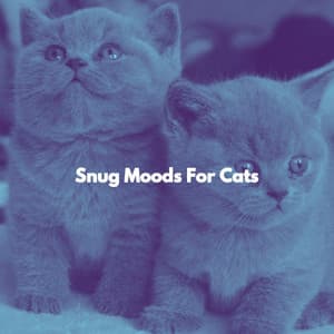 Snug Moods For Cats - Mellow Jazz Beats