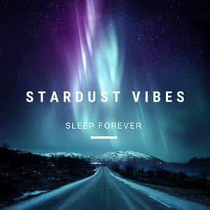 Sleep Forever - Stardust Vibes