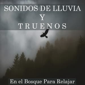 Sonidos de Lluvia en el Bosque Para Relajar - Nature Sounds