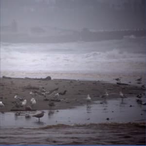 A Stormy Day at the Beach - White Noise Sleep Aids