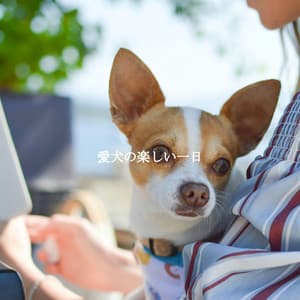 愛犬の楽しい一日 - Office Background Music