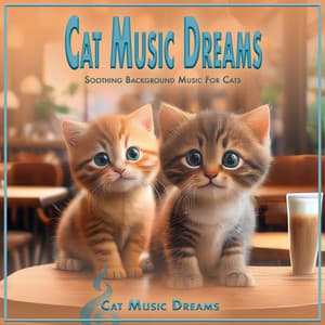 Cat Music Dreams: Soothing Background Music For Cats - Cat Music Dreams