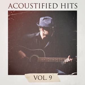 Acoustified Hits, Vol. 9 - Akustische Gitarren Musik