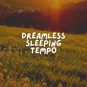 Dreamless Sleeping Tempo - Sleeping Baby