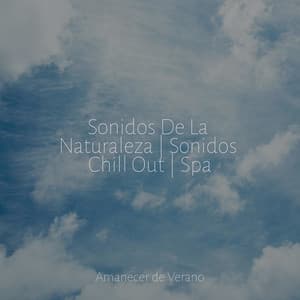 Sonidos De La Naturaleza | Sonidos Chill Out | Spa - Rockabye Lullaby