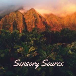 Sensory Source - Masala Roo