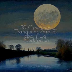 50 Canciones Tranquilas Para El Spa Y La Meditación - Piano Suave Relajante