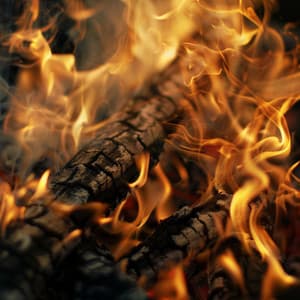 Cats' Cozy Fire: Chill Warmth for Comfort - Catching Sleep