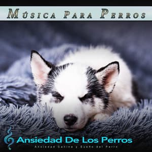 Música Para Perros: Ansiedad Canina y Sueño del Perro - Música Para Perros