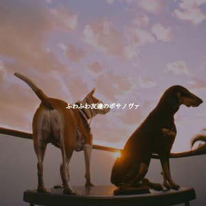 ふわふわ友達のボサノヴァ - Thiago Sanchez Jazz Quartet